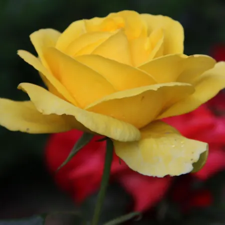 Pano Διαμέρισμα