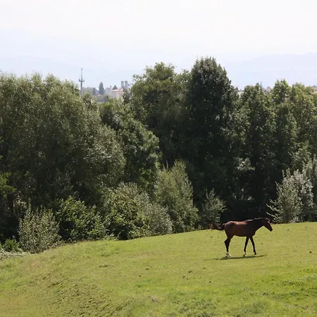 Pano Διαμέρισμα