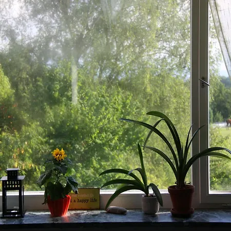 Pano Daire Friedrichshafen