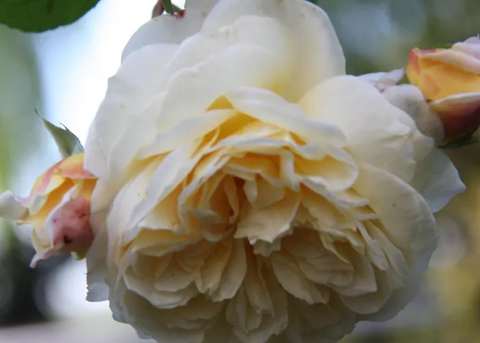 Pano Apartamento Friedrichshafen